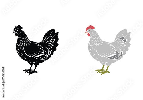 Chicken or Hen Icon Set - Detailed vector illustration of a domesticated chicken in both a black silhouette and a stylized colored graphic, perfect for farm, agriculture, and food industry designs.