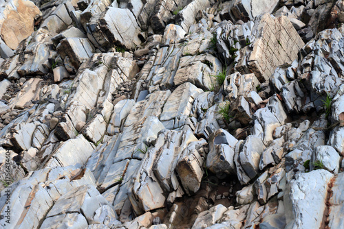 Fototapeta Naklejka Na Ścianę i Meble -  Wings of flysch sedimentary rock formations in the Carpathians (Ukraine)