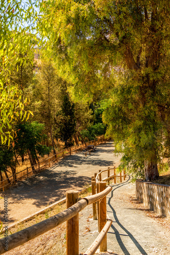 Peaceful forest walkway with wooden fence under bright sunlight in Spain’s countryside surrounded by lush green trees and natural scenery