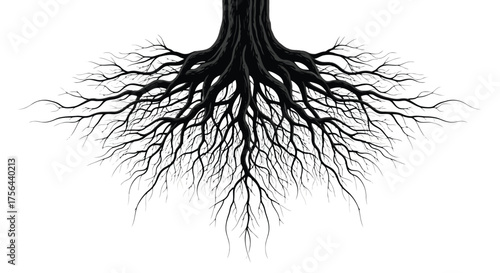 Vector illustration of intricate black tree roots spreading wide