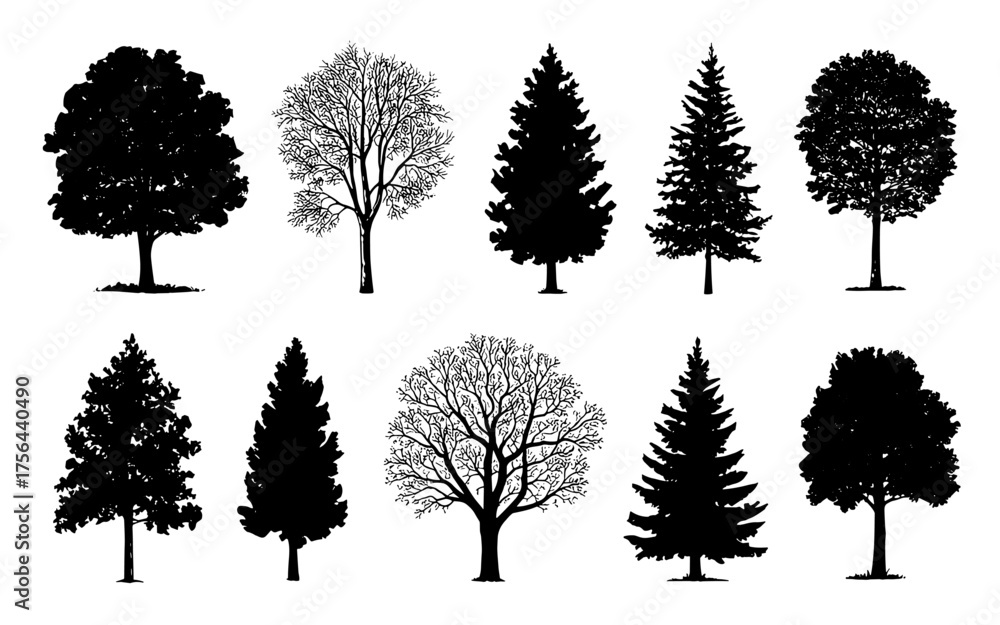 Fototapeta premium collection tree silhouettes, including deciduous and conifer species, perfect for nature and landscape designs.