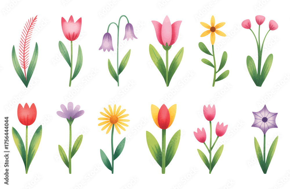 Obraz premium Minimal watercolor floral collection of blooming garden stems. Spring blossoms illustration in watercolor brushwork.