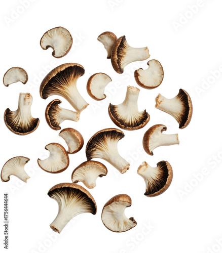 Fresh shiitake mushrooms on black background