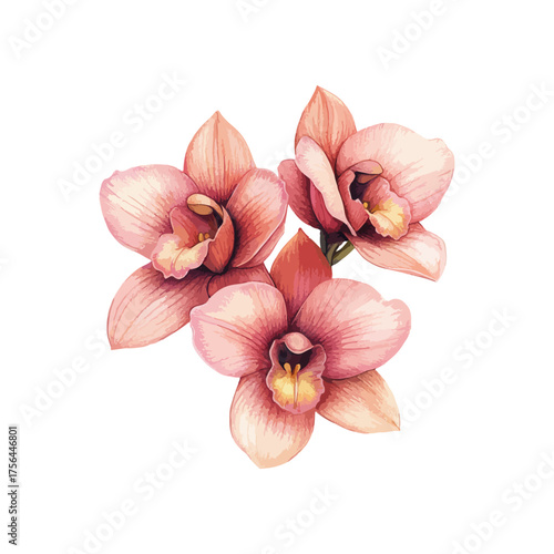 orchid flowers wheel hand drawn illustration