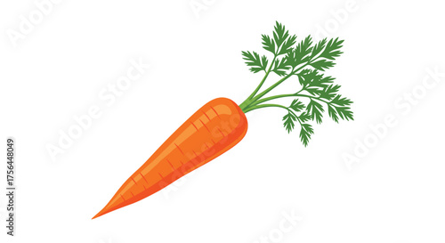 Fresh organic carrot with green leafy tops on a white background.