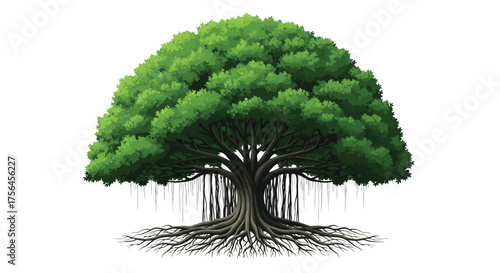 Vector illustration of a large, mature banyan tree with aerial roots and a dense canopy of green leaves, isolated on a, symbolizing strength and longevity