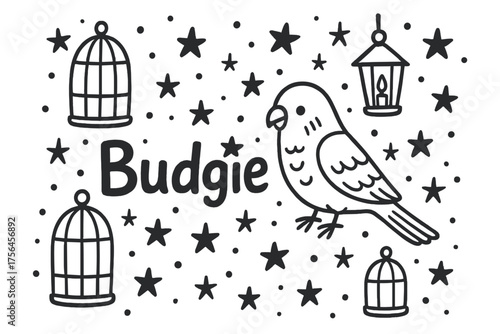 Budgie with Stars. Doodle rabbit with stars, carrots, and flowers, center word “Rabbit” in black and white isolated transparent