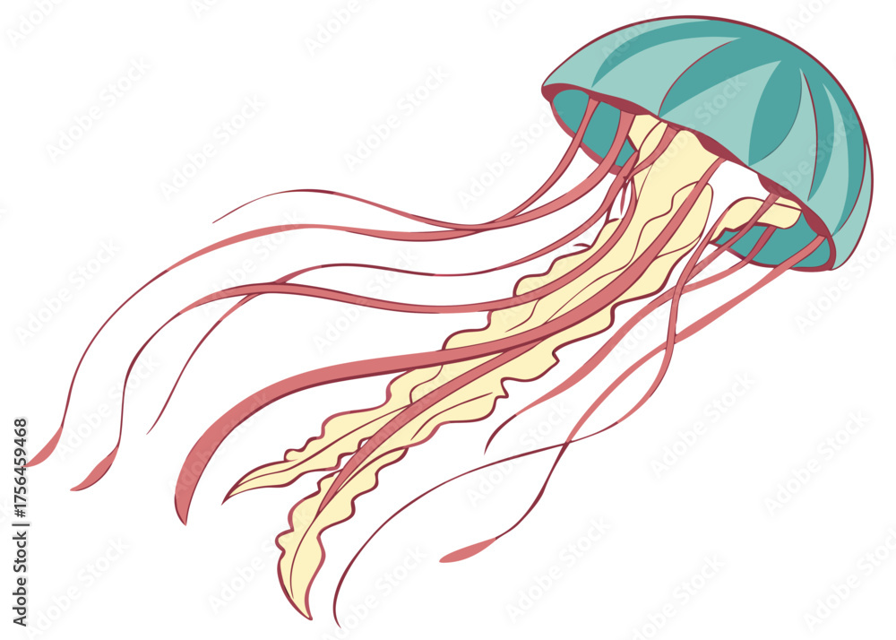 Fototapeta premium teal jellyfish with flowing orange tentacles - graceful marine creature floating underwater ocean illustration vector design isolated on white background.