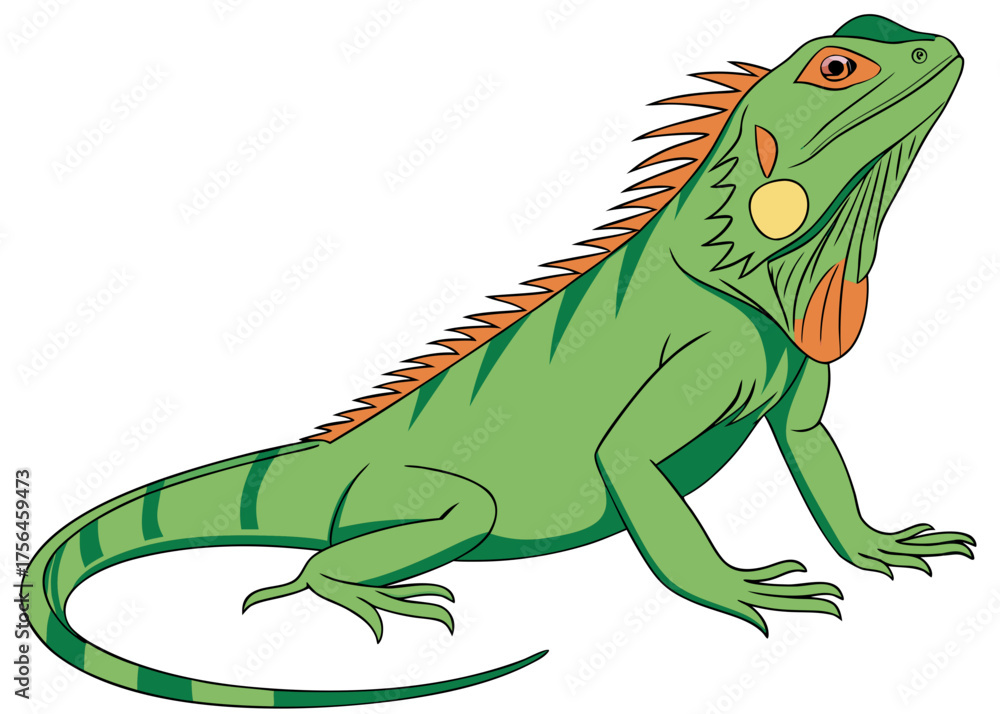 Fototapeta premium green iguana with prominent spines and colorful markings - tropical exotic reptile illustration vector graphic design artwork isolated on white background.