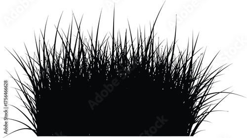 Silhouette of a tuft of grass, creating a stark contrast and minimalist aesthetic