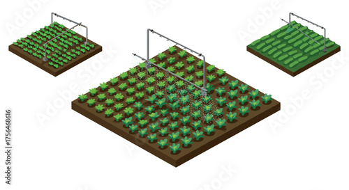 Isometric farming sprinkler system on vegetable patches