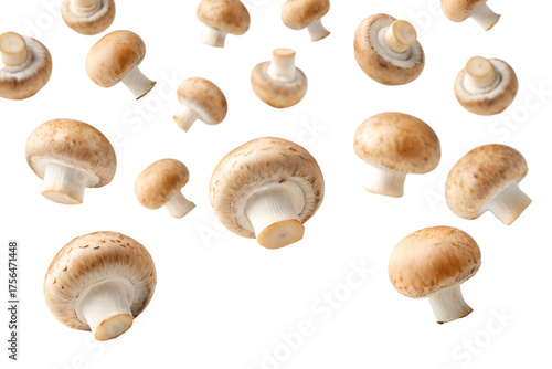  mushrooms isolated on transparent white background clipping path 