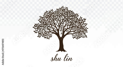 Vector illustration of a stylized silhouette of a tree with the words shu lin written below it, isolated on a