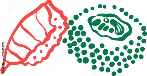 Cute sushi character Japanese cuisine	
