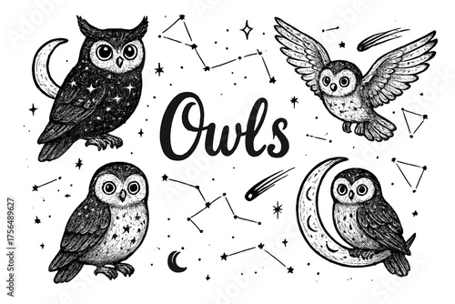 Celestial Space Owls. Hand-drawn space owls with moons, constellations, and comets, center word “Owls” in black and white isolated