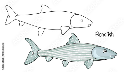 Bonefish