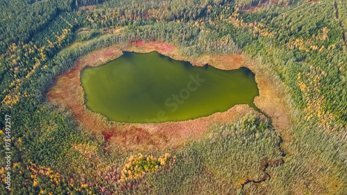 Aerial view of a lake in the forests of Lithuania, wild nature, swampy area. The name of the lake is 