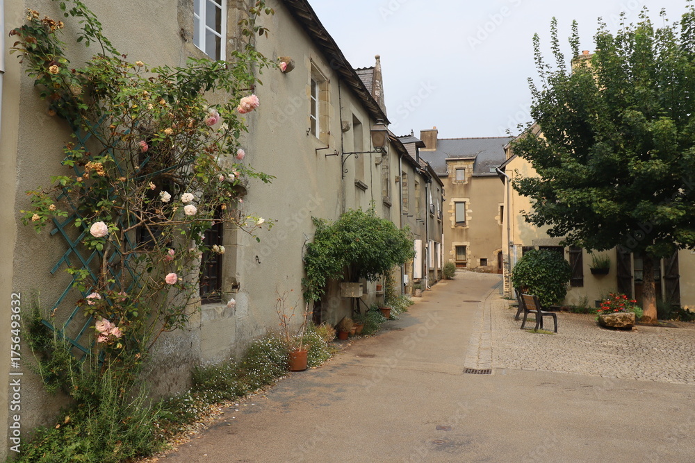 Fototapeta premium Vieille rue typique dans le village, village de Rochefort en Terre, département du Morbihan, Bretagne, France