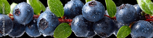 falling ripe bilberries on white background, full depth of field, transparent background