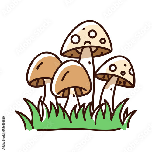 Colorful illustration of four mushrooms with varying shapes and sizes, surrounded by green grass, showcasing the beauty of nature and its diverse fungi species