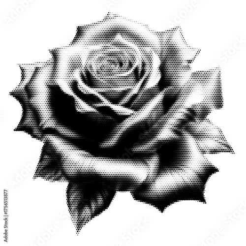 Rose vintage y2k halftone art, rose halftone stipple brutalist retro vector png with transparent background, bloom 2000s aesthetic photocopy effect tattoo