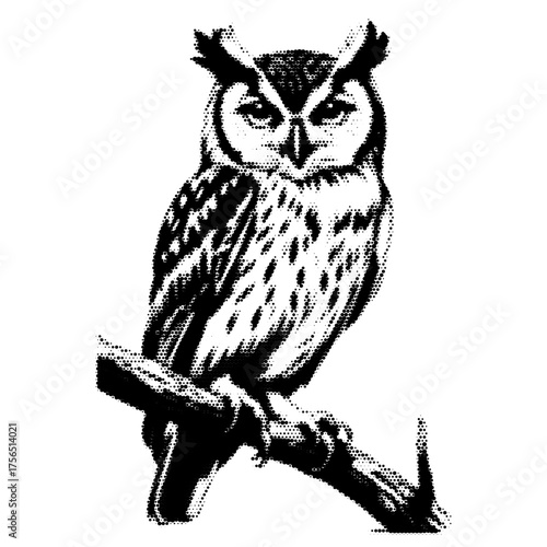 Owl on Branch vintage y2k halftone art, owl on branch halftone stipple brutalist retro vector png with transparent background, bloom 2000s aesthetic photocopy effect tattoo