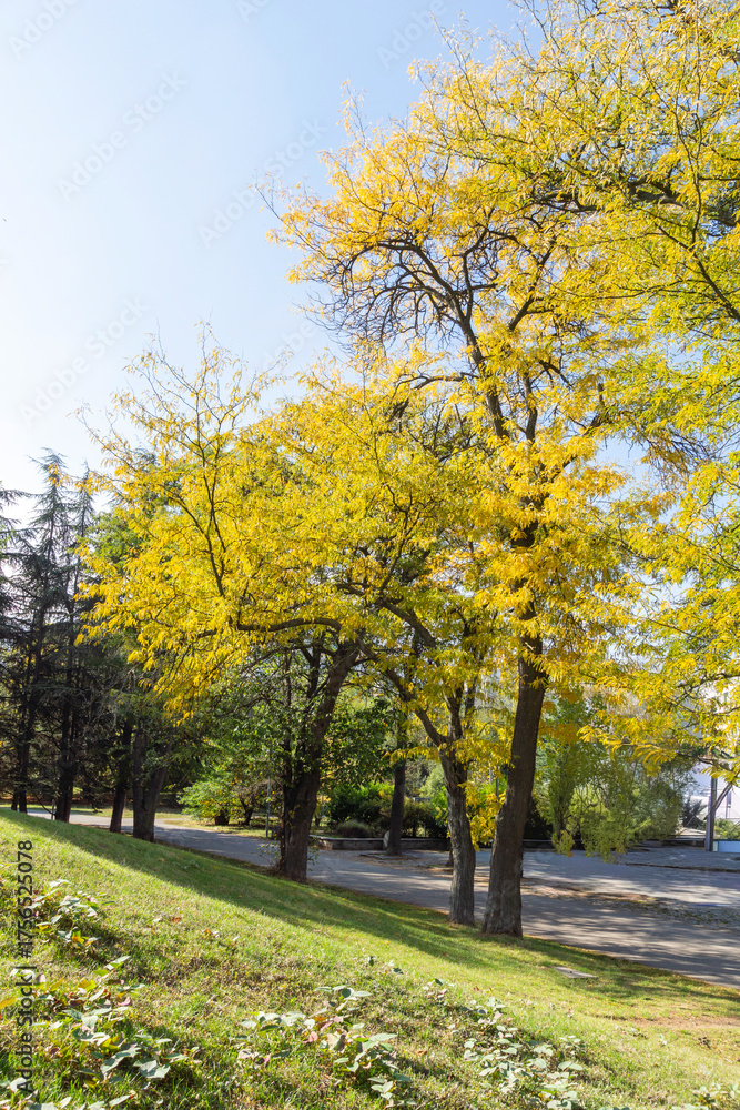 Fototapeta premium Landscape of South Park in city of Sofia, Bulgaria