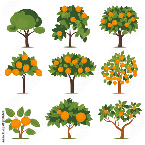 Set of stylized vector orange trees, fully loaded with ripe fruit. Flat illustration style, vibrant orange and green color palette, representing cultivation and nature, isolated on white