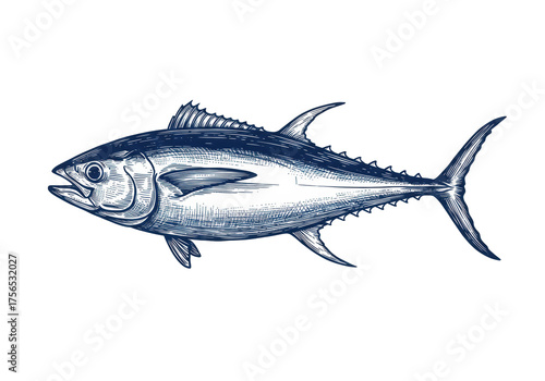 A detailed vintage linocut illustration of a yellowfin tuna, torpedo-shaped with sickle fins and detailed anatomy, deep blue ink on a transparent background, concept of scientific accuracy and