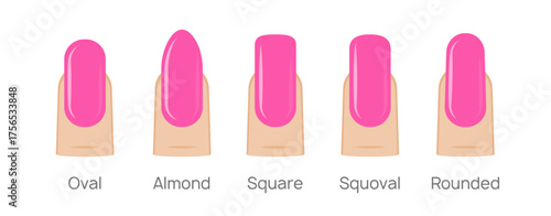 Nail shapes manicure vector art. Fingernail shape french form design fashion salon