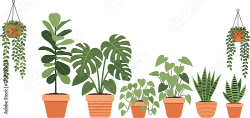 Houseplant illustration set, terracotta potted greenery, Monstera and succulent clipart, hanging plant art, indoor garden decor, botanical asset packHouseplant illustration set,  