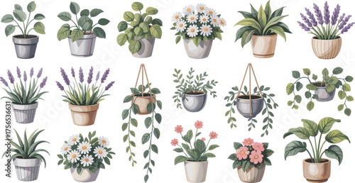 Botanical plant illustration set, flowering and leafy houseplants, terracotta pot clipart, indoor garden decor, hanging greenery art, nature asset pack