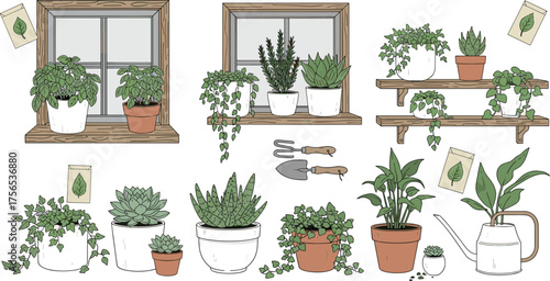 Indoor gardening illustration, potted plants and tools, windowsill greenery clipart, botanical decor design, cozy plant care scene, home garden art