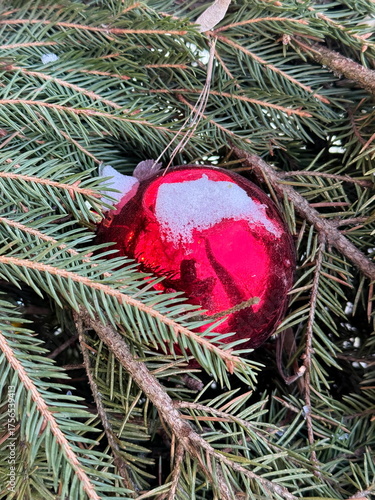 Red Christmas bauble hanging on a pine branch outdoors during winter, with natural green needles and festive reflection.