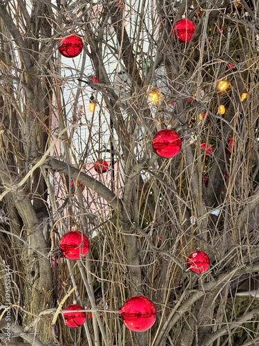 Red baubles and holiday lights decorating bare winter branches outdoors, creating a festive Christmas atmosphere.