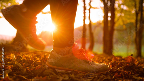 LENS FLARE, DOF, CLOSE UP: Person in sports shoes walks through fallen leaves in autumn forest. Bright golden sunlight illuminates the moving leaves lifted by feet as they walk along sunlit path.