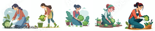vector of woman harvesting vegetables in the garden
