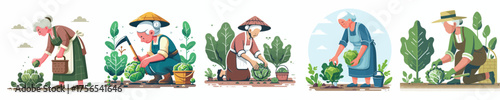 vector of grandmother harvesting vegetables in the garden