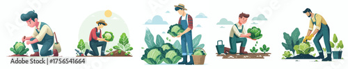 vector of man harvesting vegetables in the garden