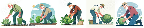 vector of grandfather harvesting vegetables in the garden