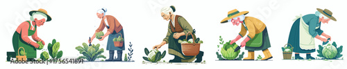 vector of grandmother harvesting vegetables in the garden