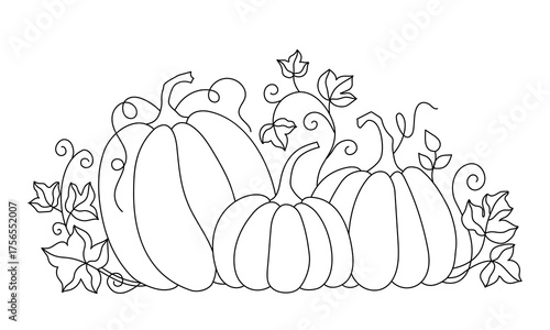 Autumn pumpkins with leaves. Outline drawing on a white background.