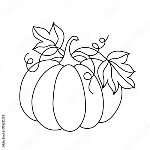 A beautiful pumpkin with leaves. Outline drawing.