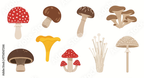 An array of eight distinct mushroom illustrations on a white background