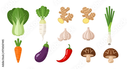 Array of produce bok choy radish ginger garlic scallions carrot eggplant chili and shiitake mushrooms
