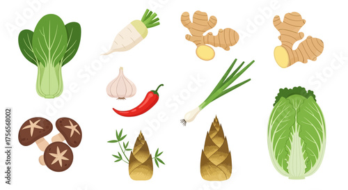 Collection of drawn Asian cooking ingredients on white background
