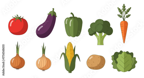 Illustrated vegetables tomato eggplant pepper broccoli carrot onion corn potato cabbage