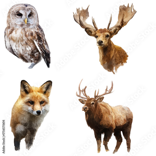 Set of four wild forest animals including owl fox and two deer species.