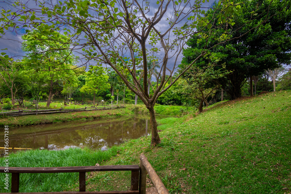 Obraz premium View of Botanical Garden in Goiania, Brazil