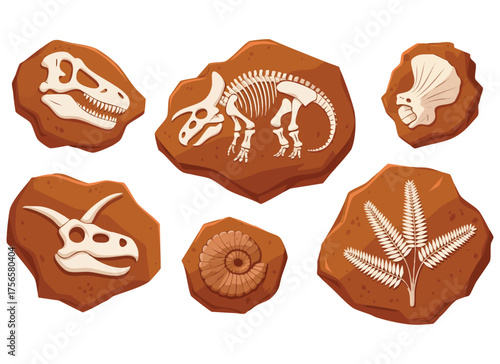 Vector illustration fossil dig set dried soil collection with dinosaur sea animal foliage archeology paleontology and ancient stone cartoon creative art